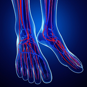 What Is Raynaud&#039;s Disease?
