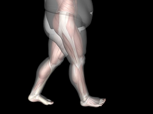 Obese Individuals May Have More Foot Pain